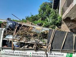 Best Dumpster Rental Services  in Buchanan, GA